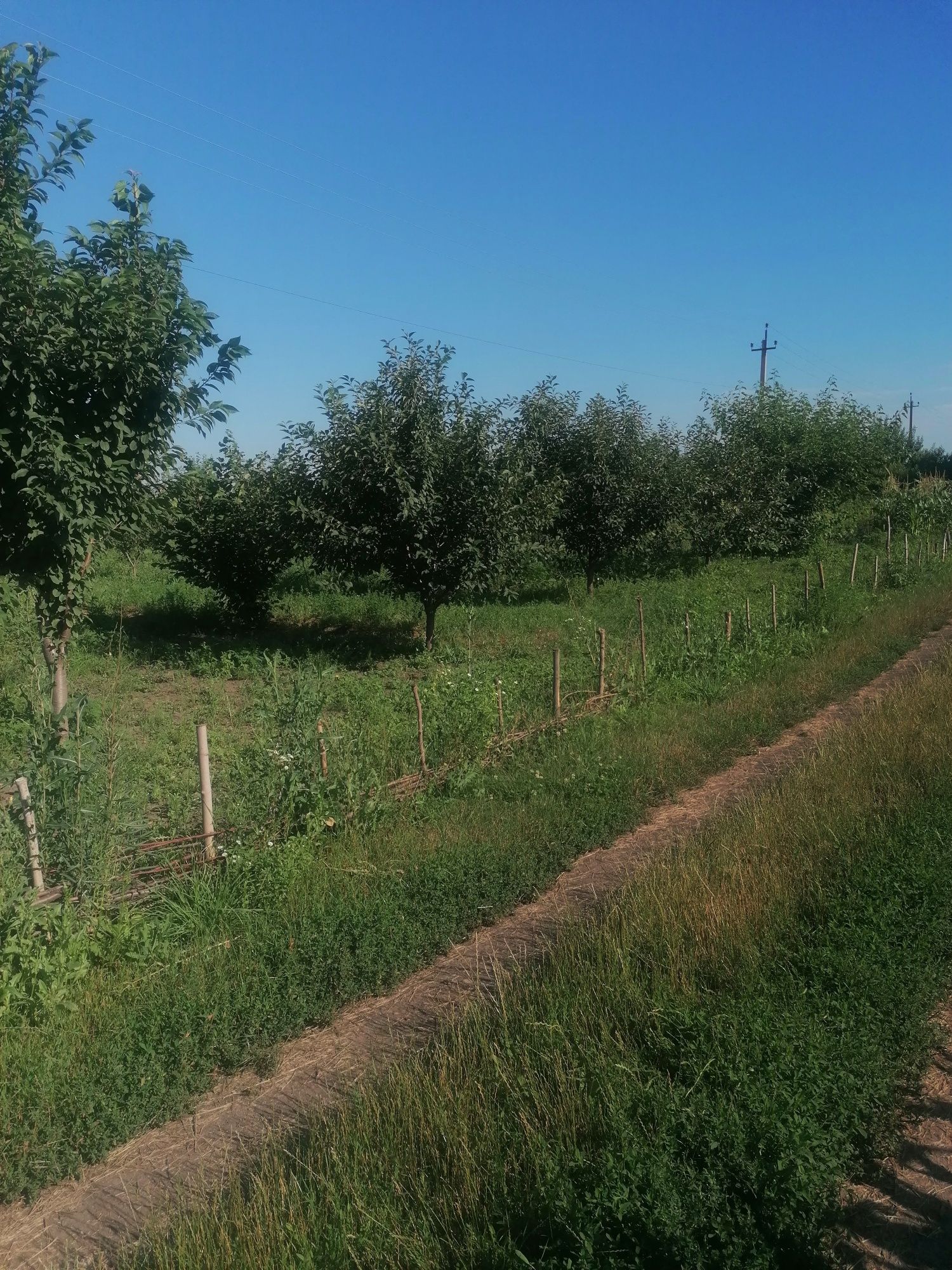 Продам земельну ділянку