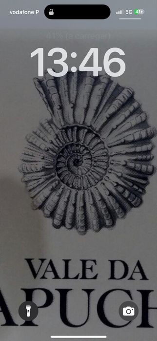 Coelhos Leonardo da Borgonha