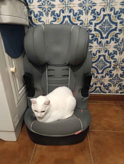 Cadeira de automóvel Zippy