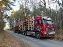 Volvo fh16 600 km,
