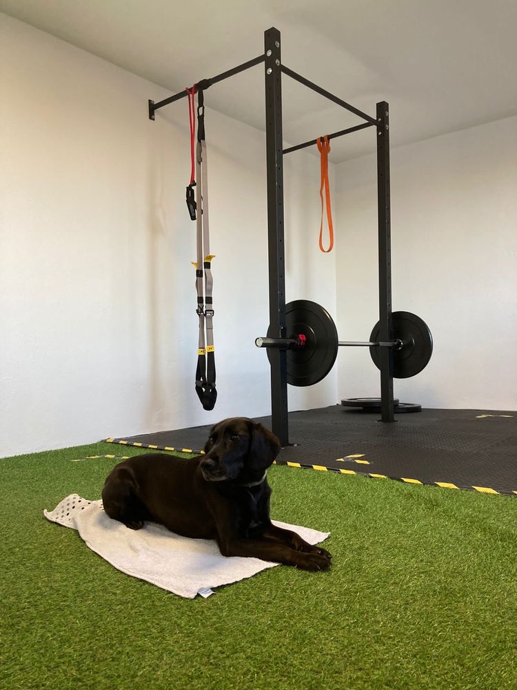 Rack pull ups crossfit