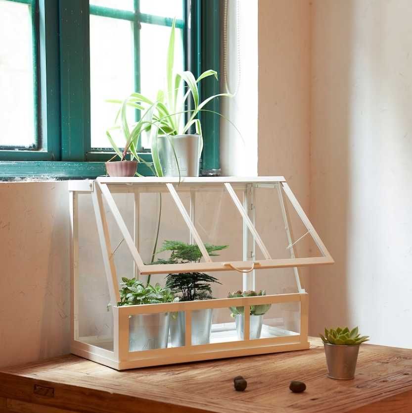 Szklarnia mini szklarenka Gustowna Ładna Pojemna dla roślin ozdób IKEA