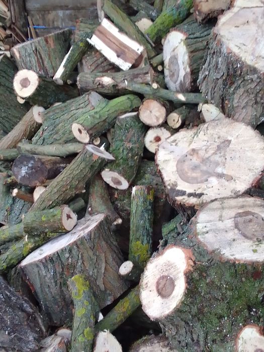 Дрова мікс 1777 грн 1 куб Городок