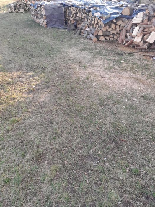 Drewno opałowe kominkowe 270 zł za m3