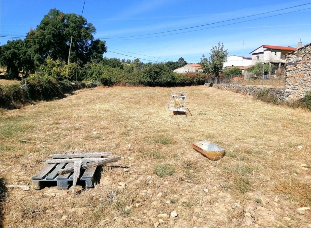 Terreno em Zava Mogadouro