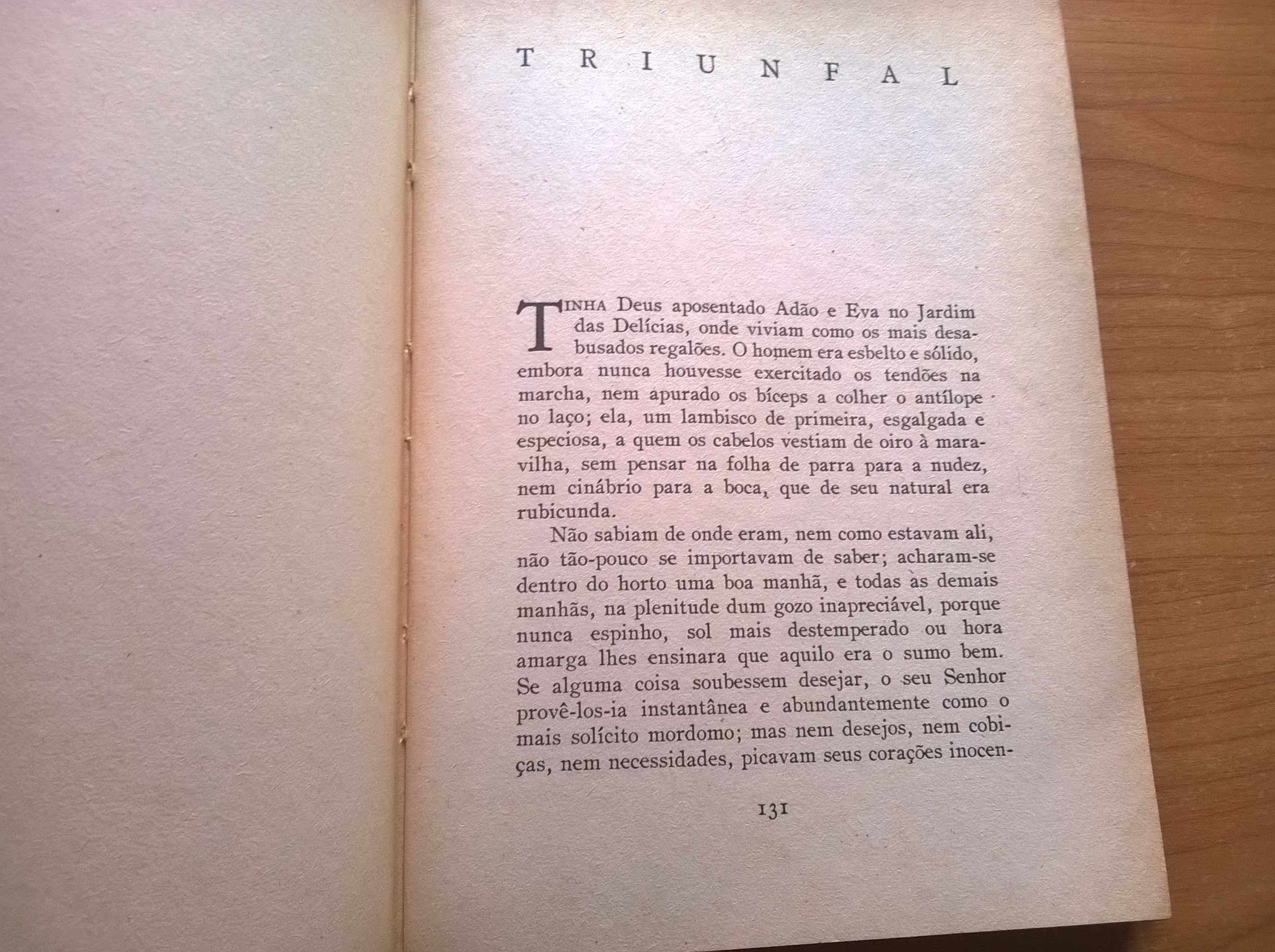 Jardim das Tormentas - Aquilino Ribeiro