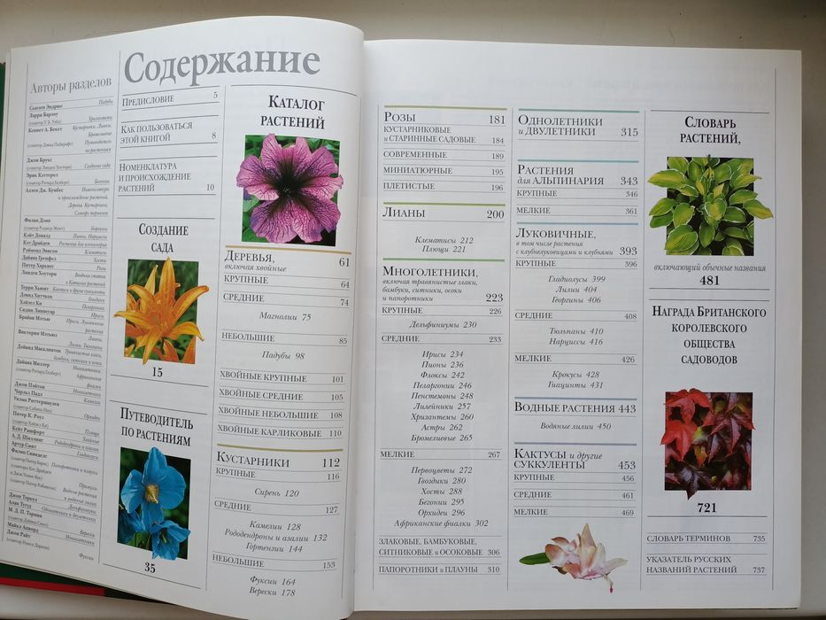 Ваш цветущий сад