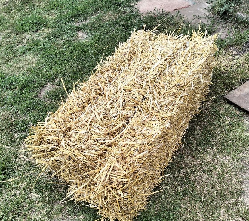 тюки зі соломи продам