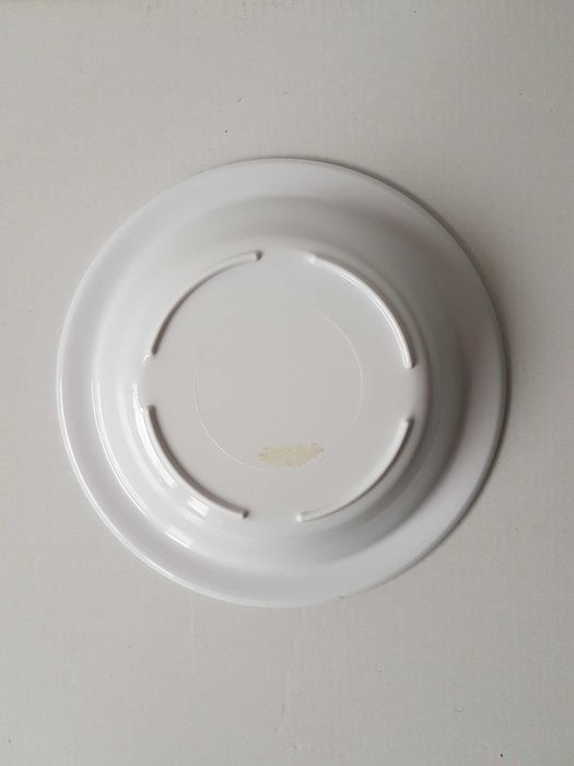 Plastikowy talerzyk i miseczka owady biedronka pająk pszczółka