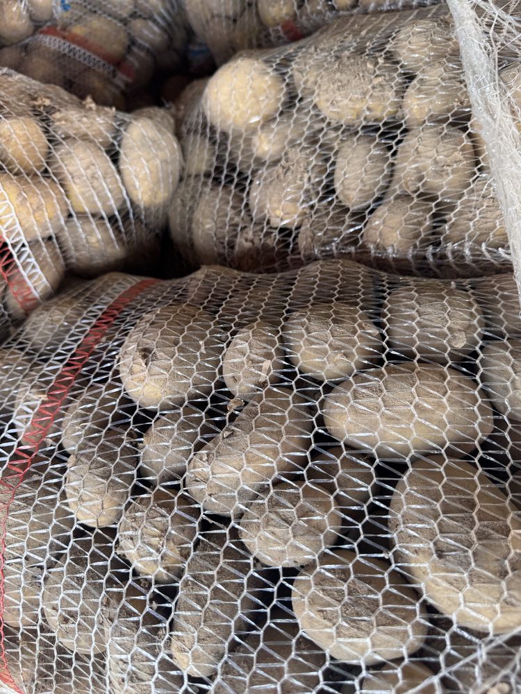 Ziemniaki młode worki 15 kg ziemniak