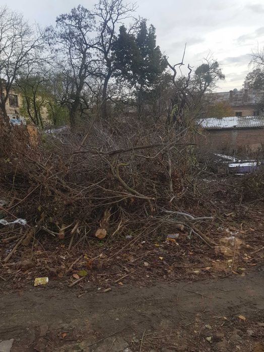 Продам гілля з дерев  на переробку .,паливну щіпу .