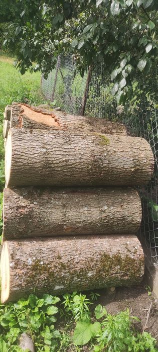 Suche drewno opałowe jesion
