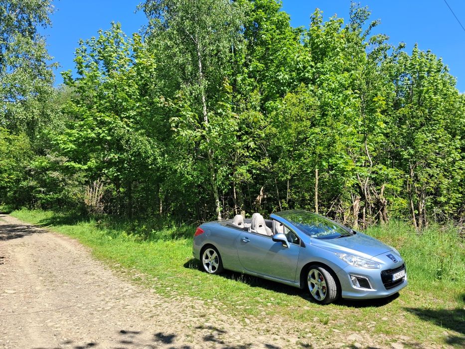 308 cc w pięknym zestawieniu kolorów