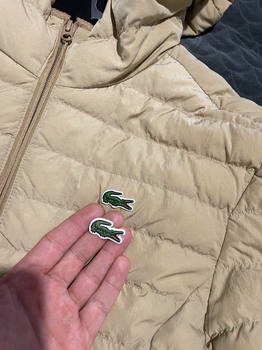 Naszywki Prasowanki krokodyl Lacoste 10 sztuk