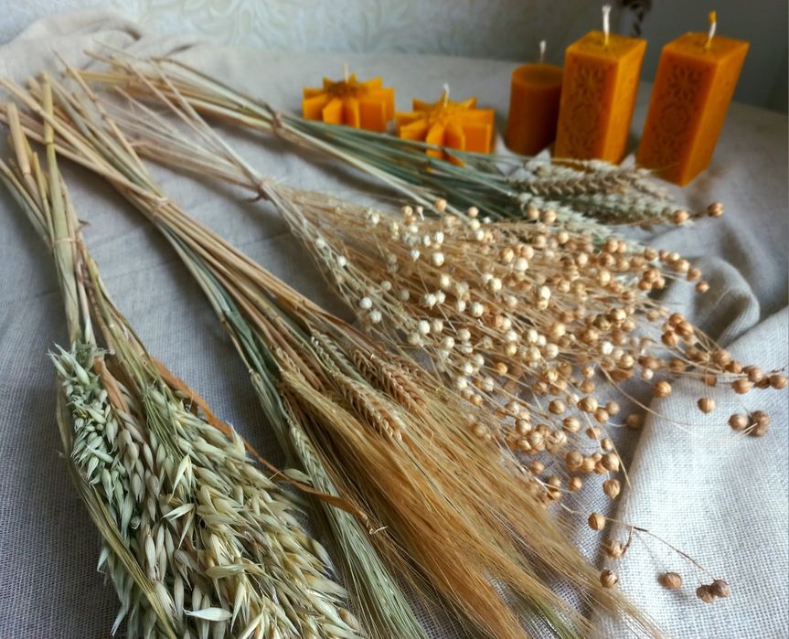 Набір для дідуха,  пшениця, овес,  ячмінь,  льон, просо, свічки з воск