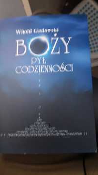 Boży pył codzienności