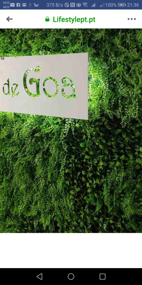 Parede verde ou Jardim Vertical Garden Protected UV-by OVO Home Design