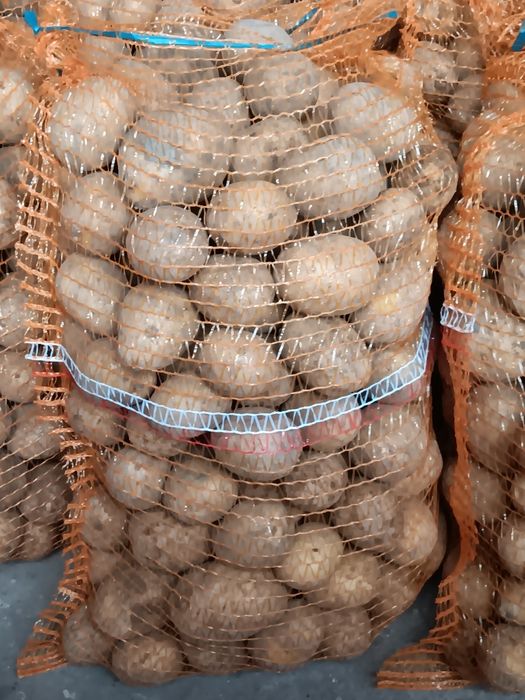 Ziemniaki Gala workowane 15kg