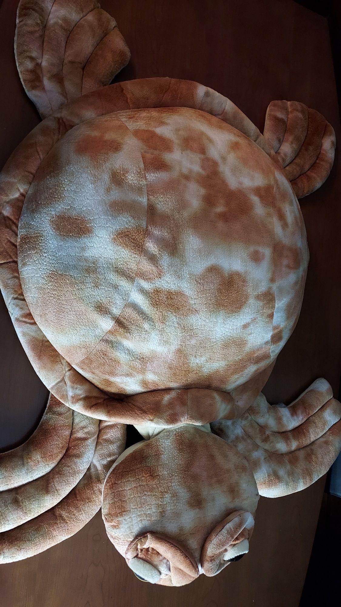 Peluche Tartaruga