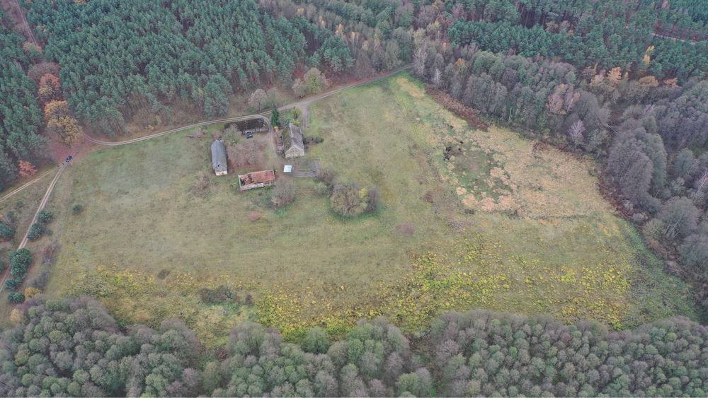Działka budowlano-rolna 4,5ha, Jastrzębsko Stare