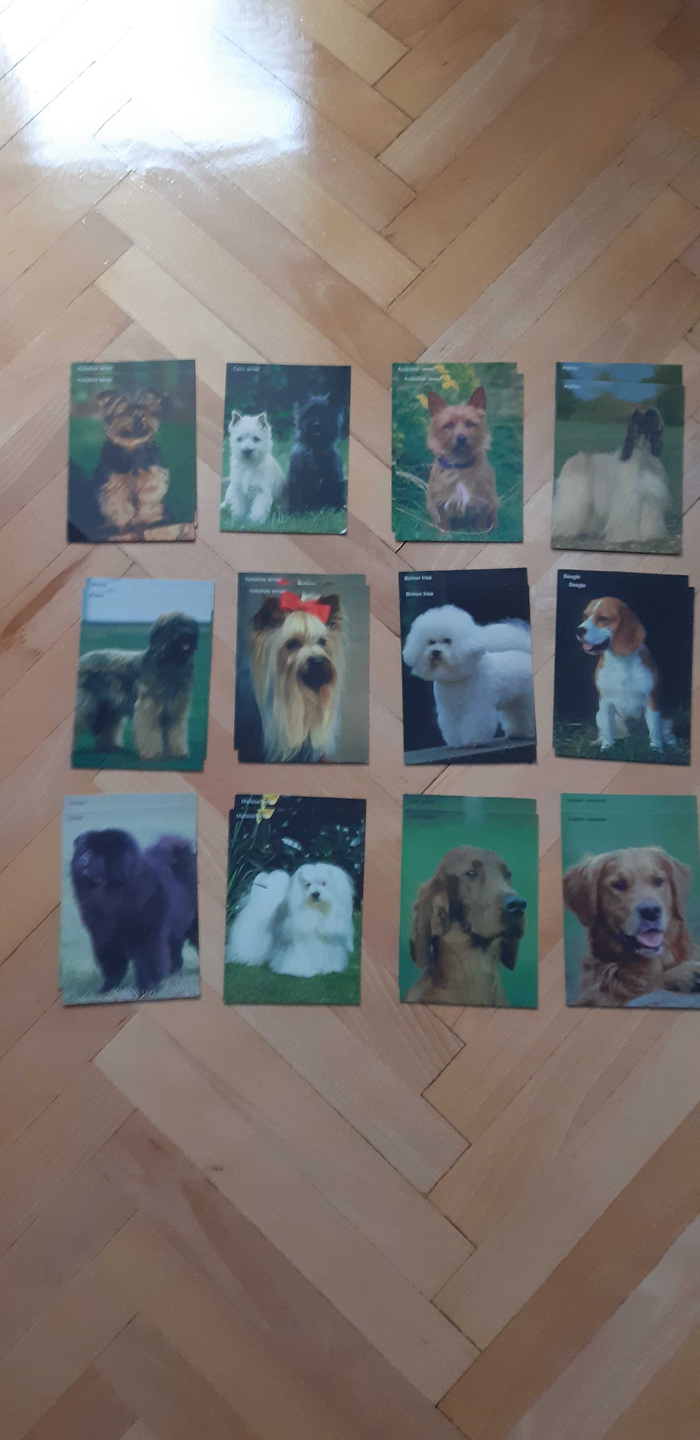 karty pocztowe z psami 12 sztuk
