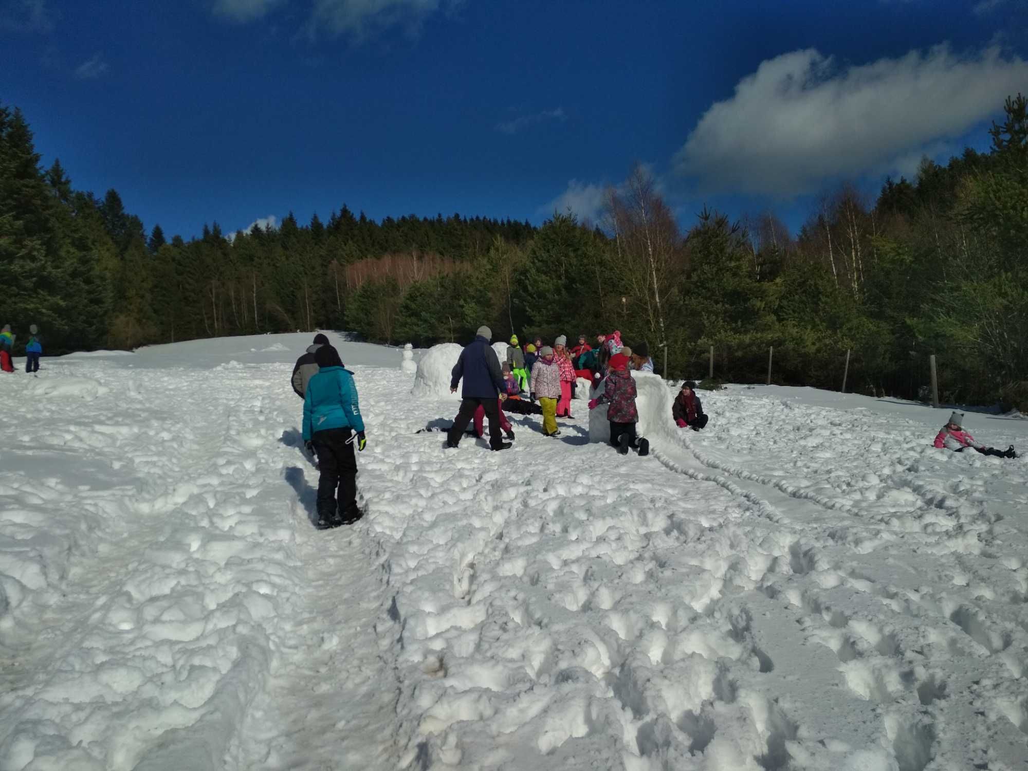 Domek na Skalnej Górce w Tyliczu