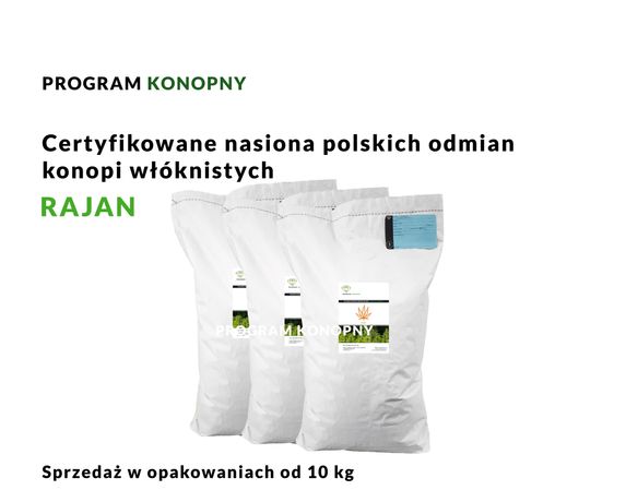 Certyfikowane nasiona polskich konopi odmiany Rajan