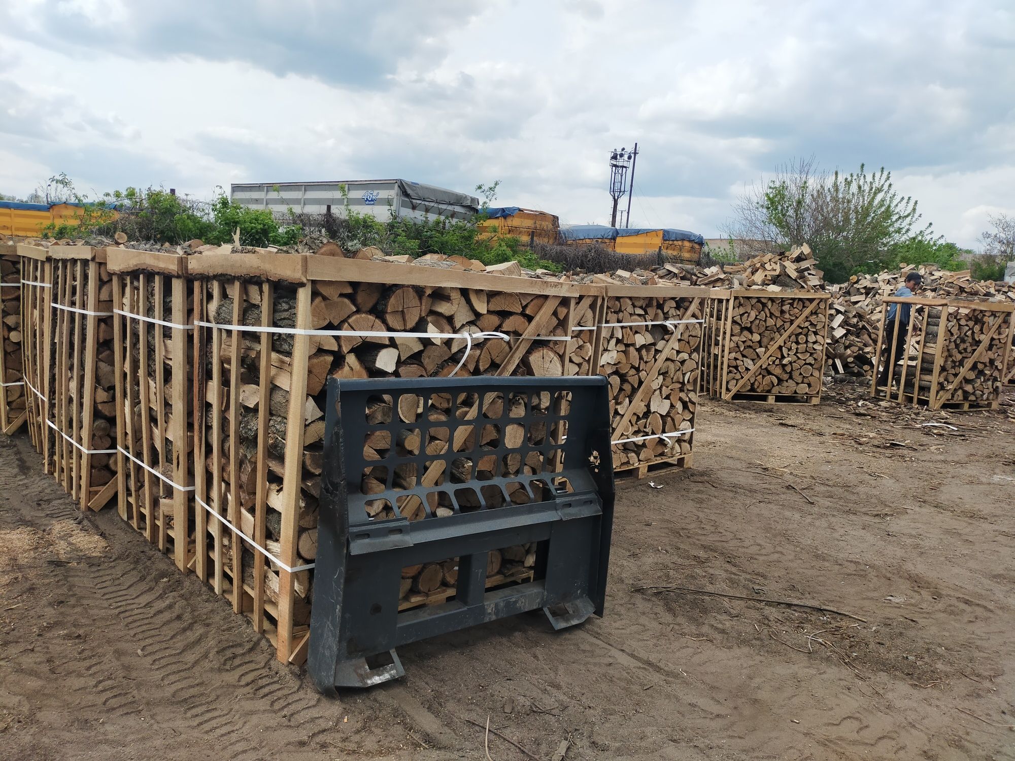 Продам дрова колоті в піддонах