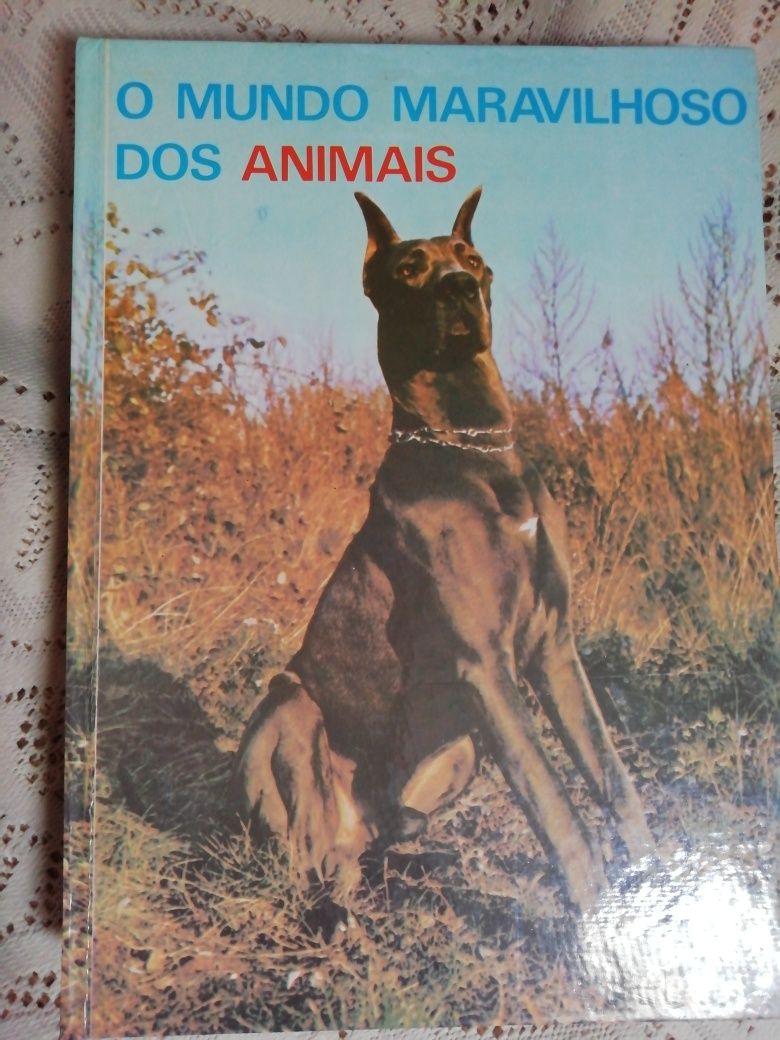 O Mundo Maravilhoso dos Animais