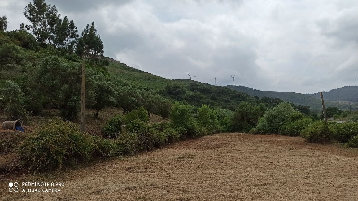 Limpeza de terrenos