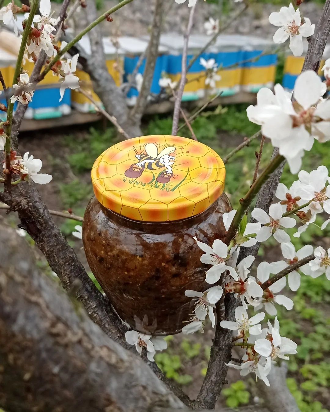 Продам пасту Амосова