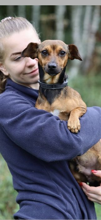 Do adopcji 5kg samiec