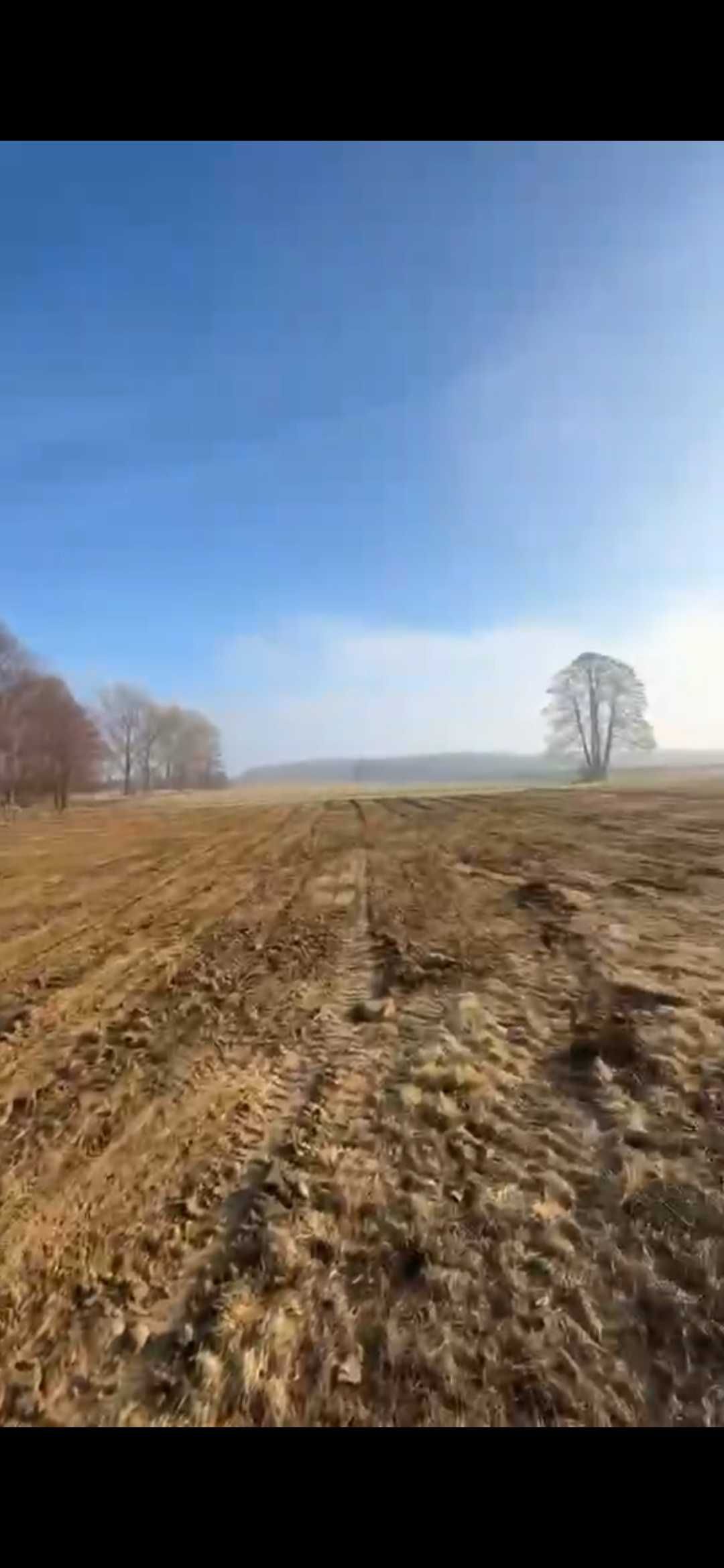 Usługi koparko ładowarką