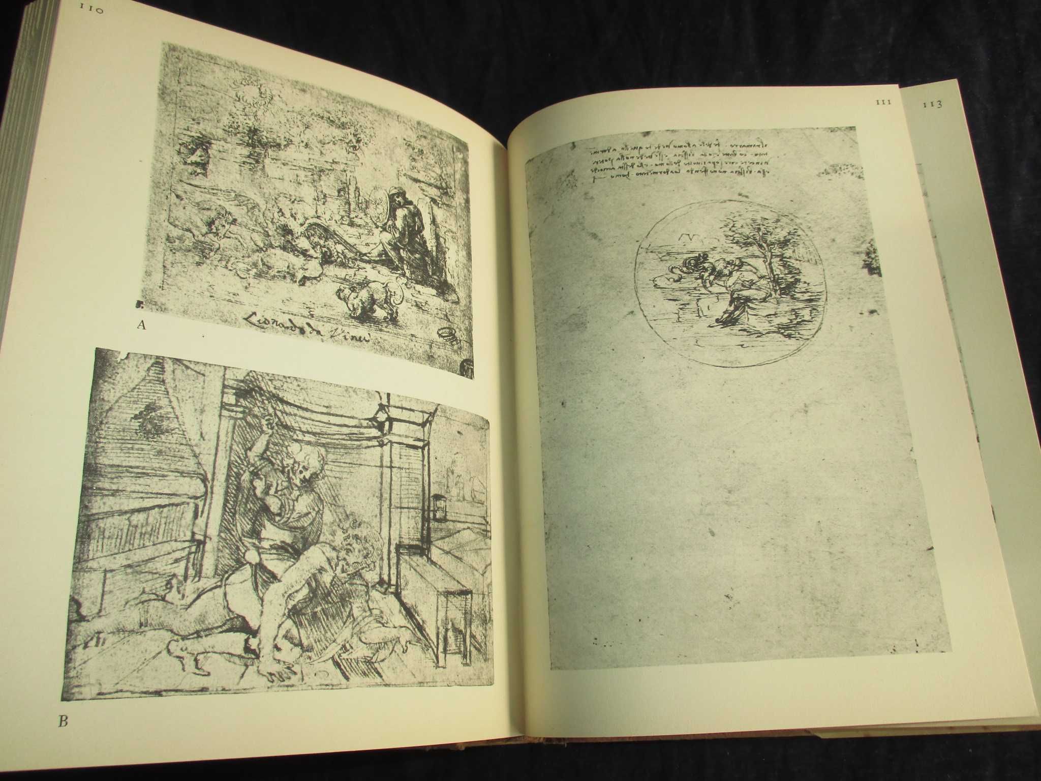Livro Les Dessins de Leonard de Vinci Desenhos de Leonardo da Vinci
