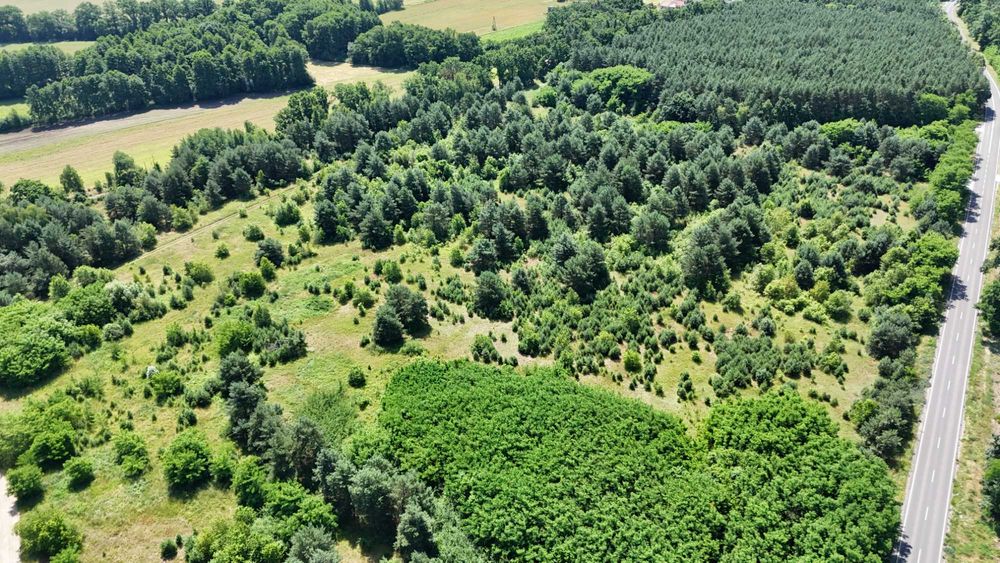 Duża działka inwestycyjna przy DW 338 w Wołowie