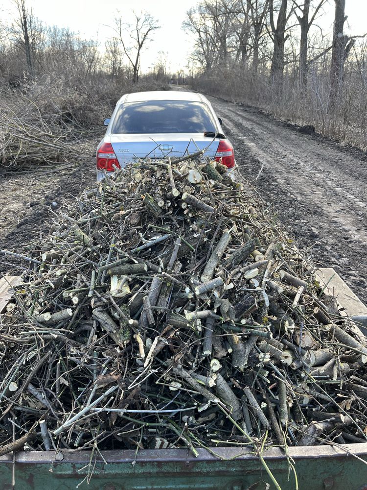 Продам щепу для груби та котла.