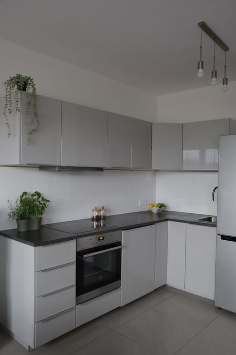 Dwa pokoje do wynajęcia