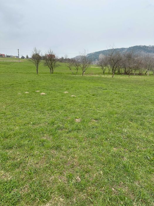 Działki bud-usług od 8,3 do 43 arów tylko 5km od Jeziora Rożnowskiego