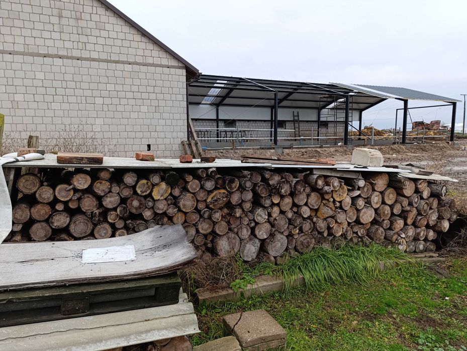 Drewno opałowe, opał, pocięta sosna