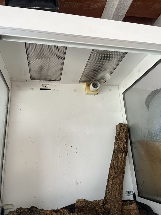 Terrario para animais exoticos