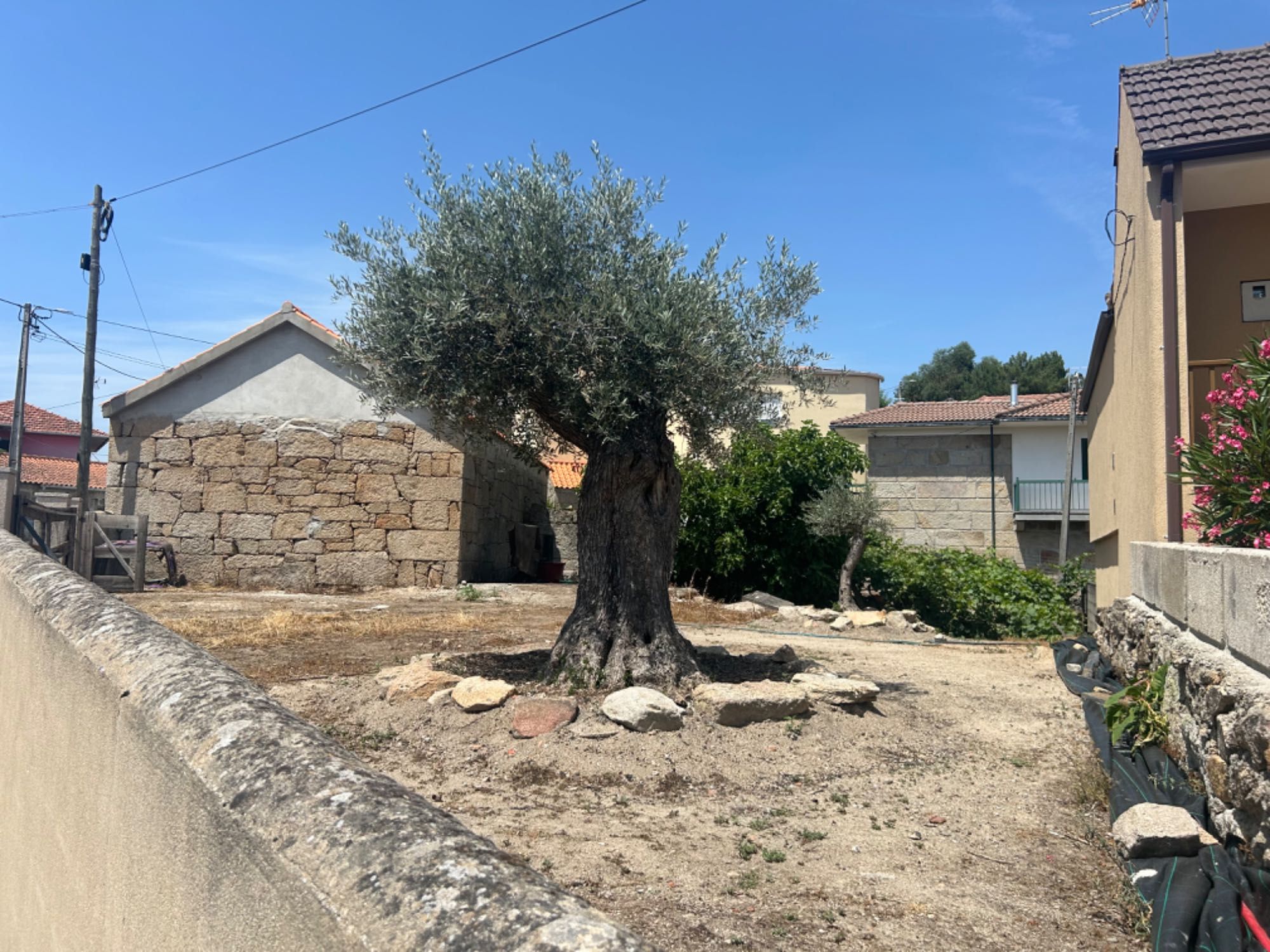 Casa com terreno na aldeia de Campelos, Carrazeda de Ansiaes