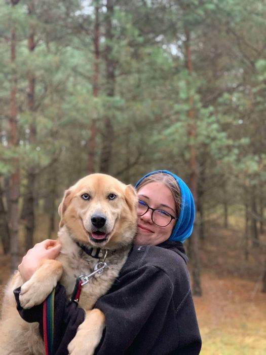 Zibo - inteligentny psiak o ogromnych pokładach energii