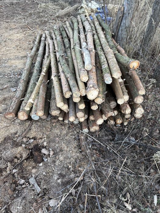 Stemple budowlane każda długość,możliwy dowóz.
