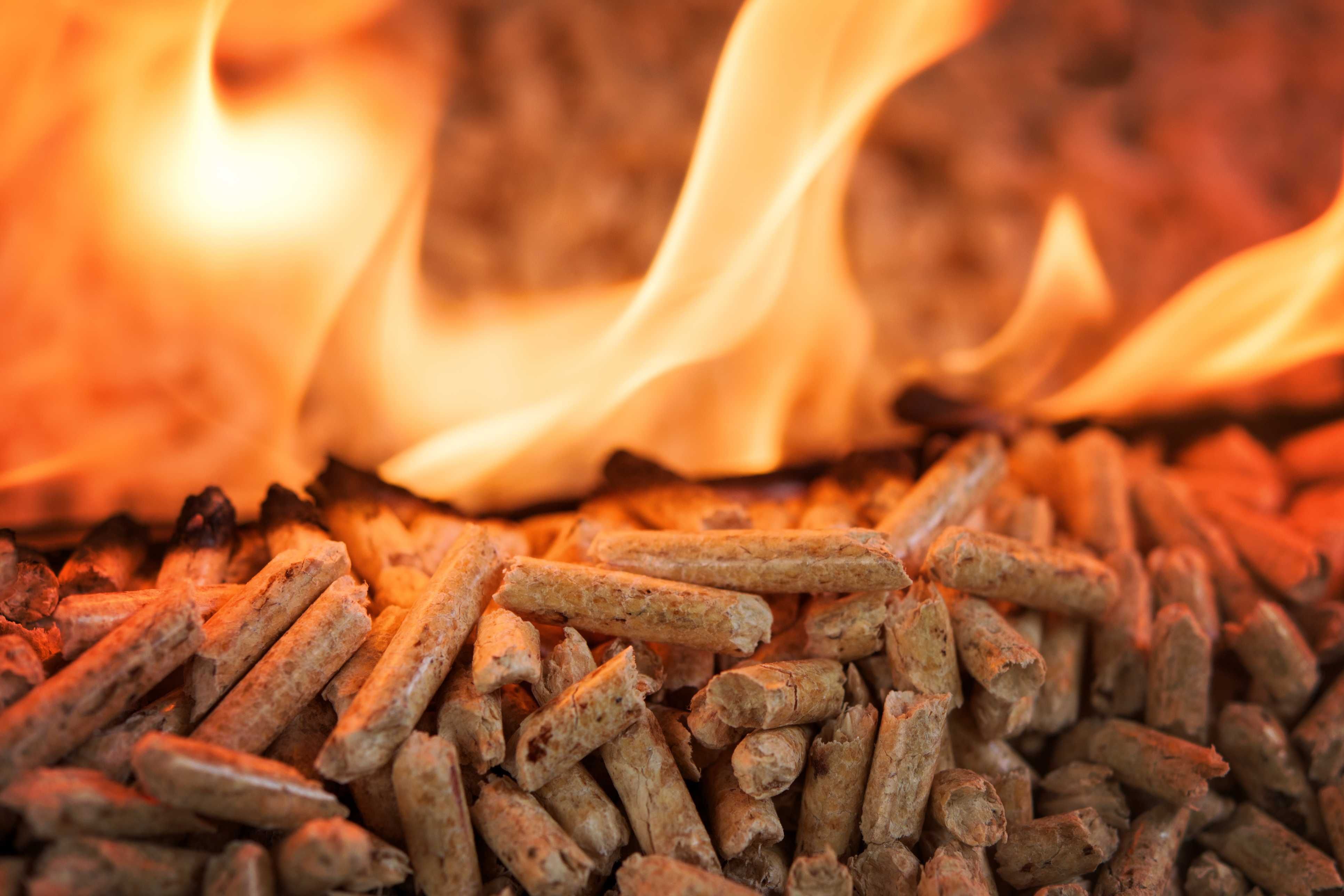 Pellet drzewny certyfikowany A1, DINplus, EN+