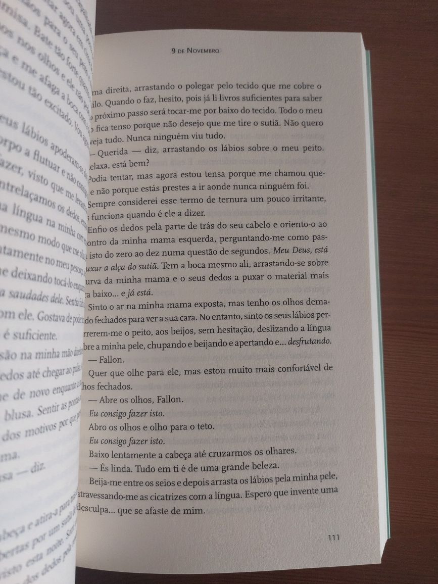 L " 9 de Novembro " Colleen Hoover (NOVO)