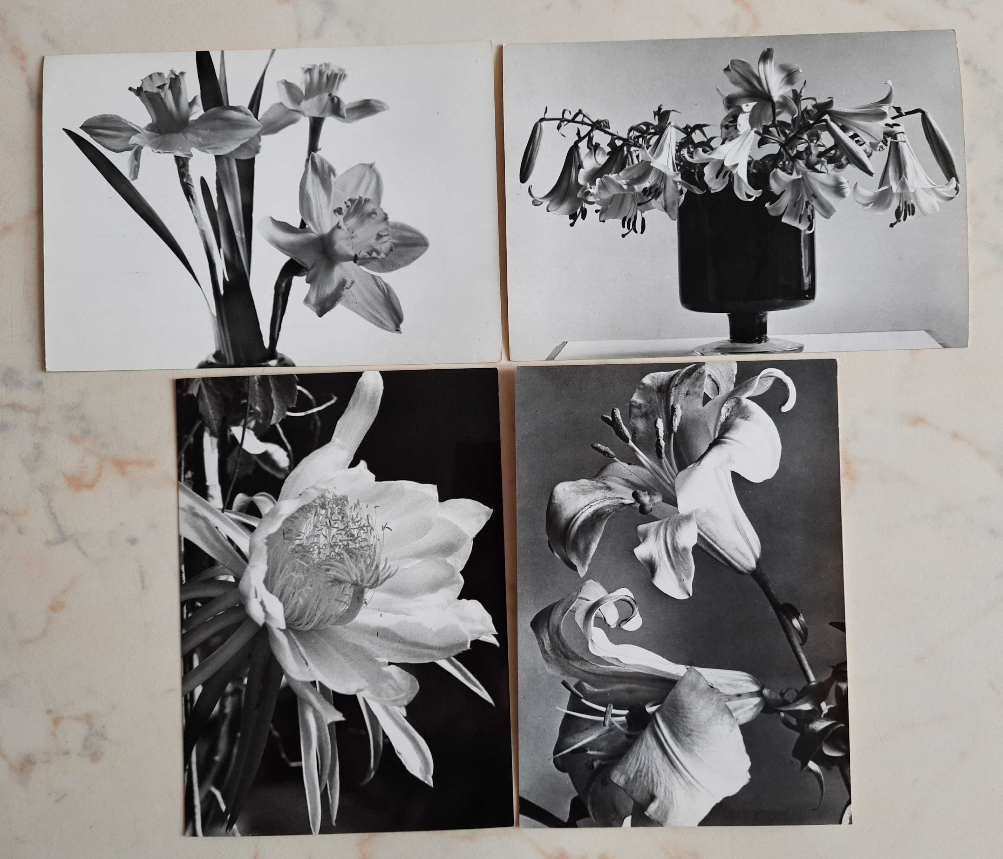 16 czarno-białych zdjęć/pocztówek i 4 kolorowe z kwiatami