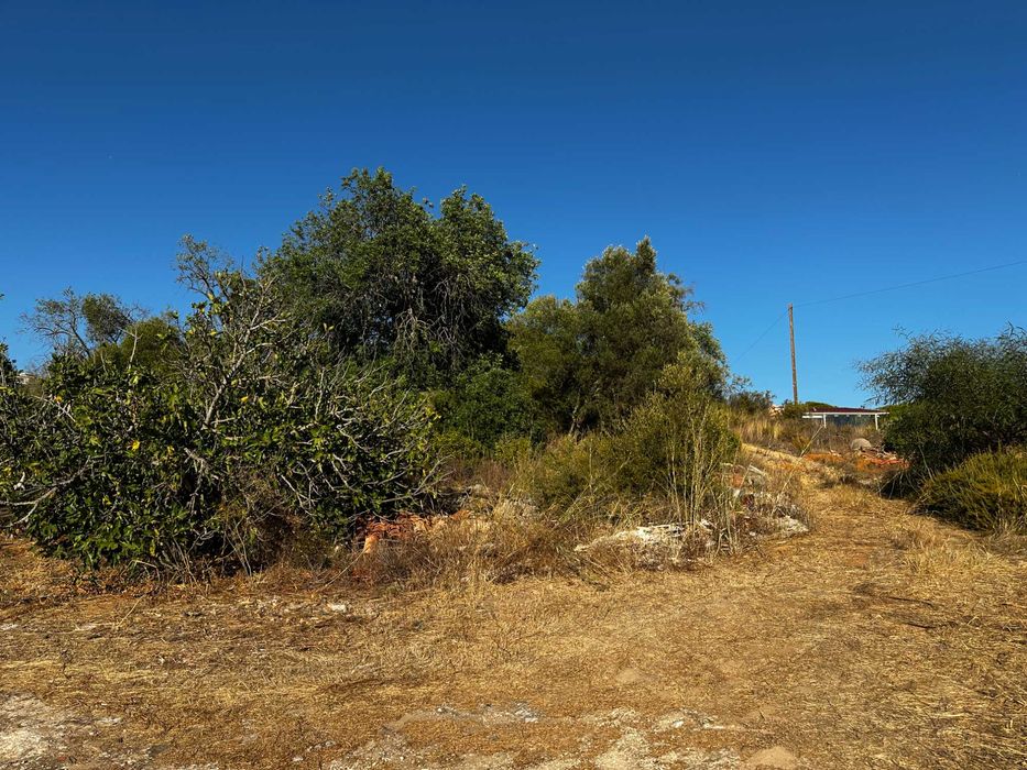 Terreno Rustico em Boliqueime, Ribeiro