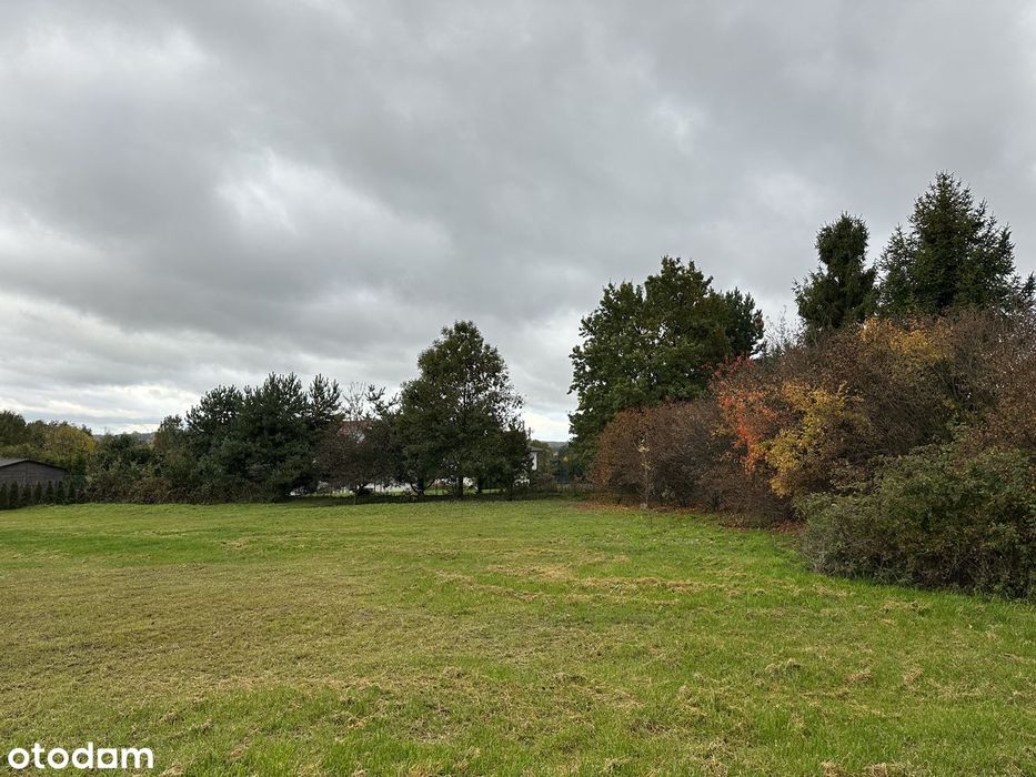 Sprzedam działkę Mikołów Kamionka ul. Jagodowa