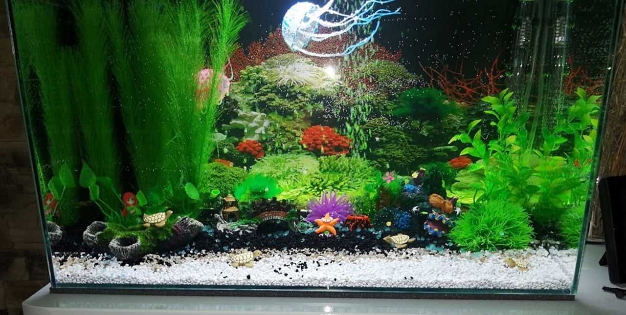BIAŁY żwirek kwarcowy ceramiczny do akwarium 2-4mm 1kg AQUAdream