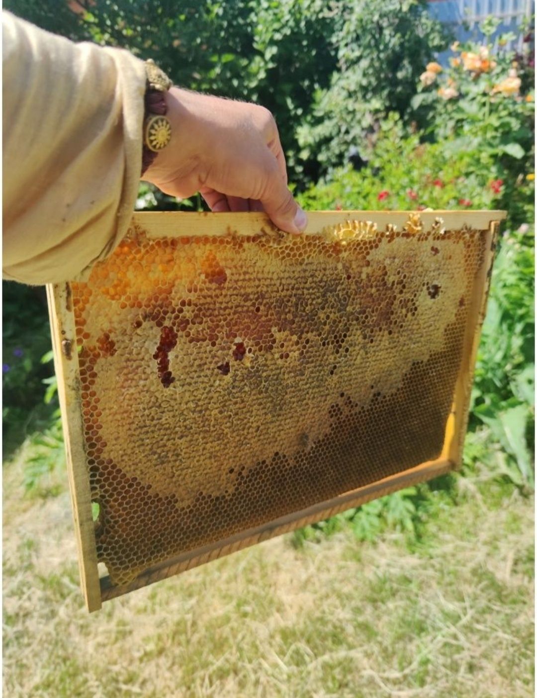 квітковий мед 2023 з власної пасіки Полтавщина